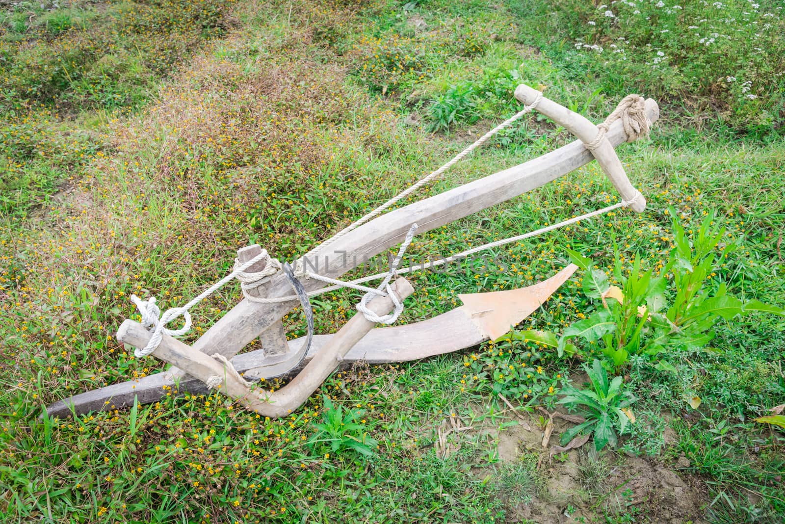 Close-up an ancient plow near fallow rice field at Lao Cai, North Vietnam. It is attached to a buffalo or a bull to turn soil. Traditional and manual agricultural tool concept.