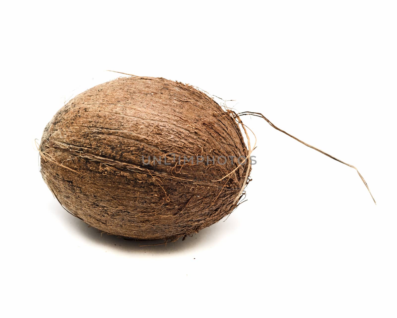 Coconut isolated on white background.Whole dry fruit. by andre_dechapelle