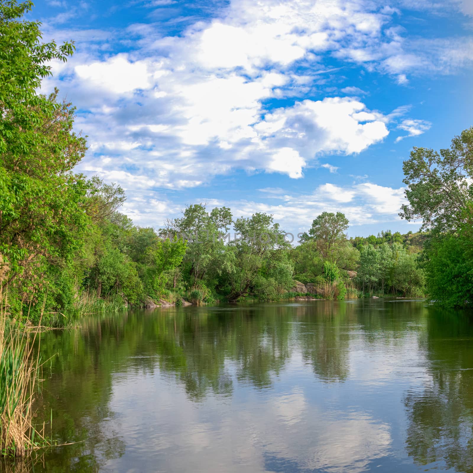 Southern Bug river in Mygiya village, Ukraine, on a sunny summer day