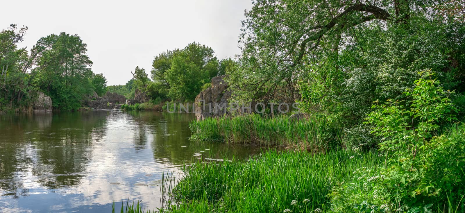 South Bug River near the village of Migiya, Ukraine by Multipedia