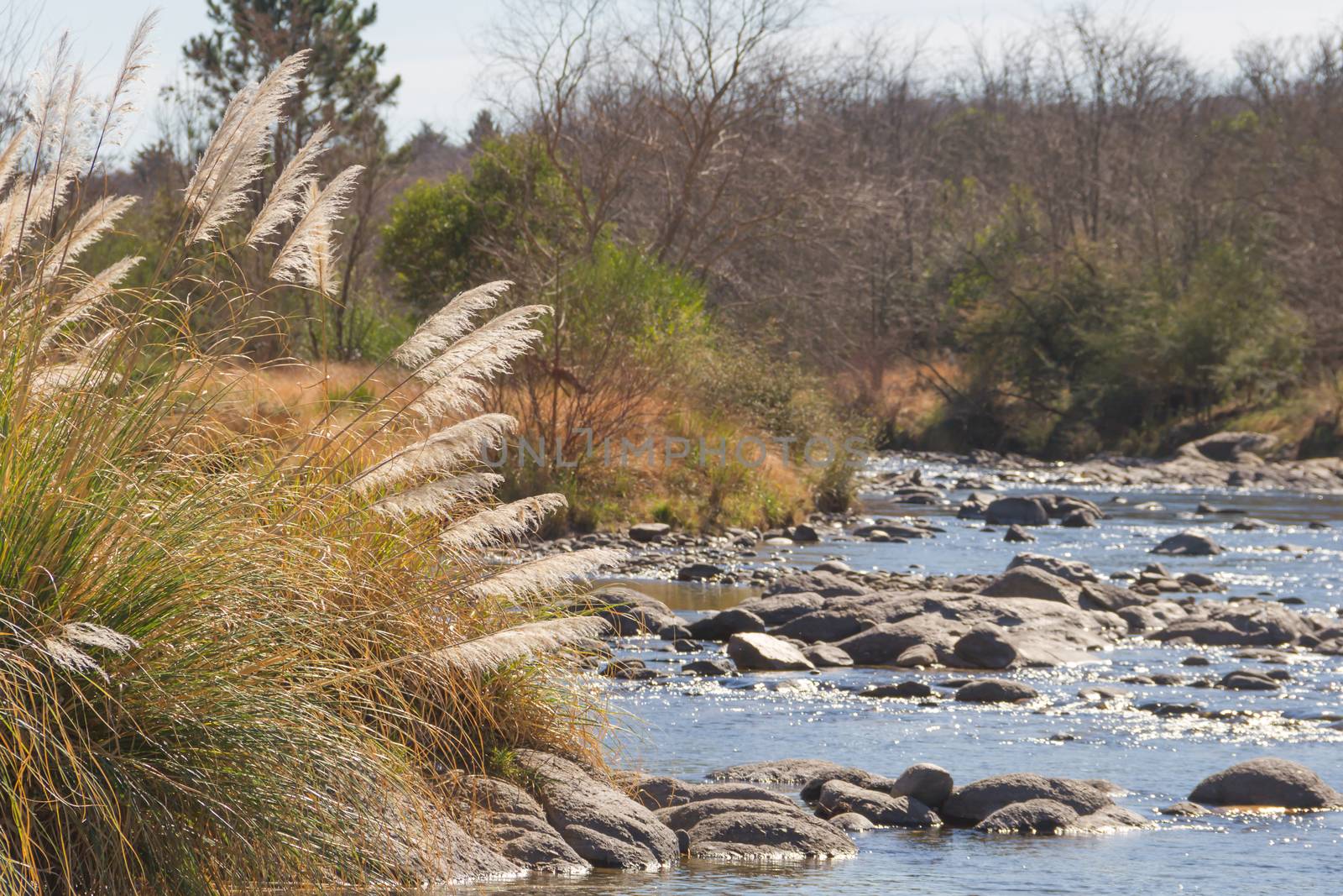 mountain stream landscape in Cordoba province Argentina by GabrielaBertolini