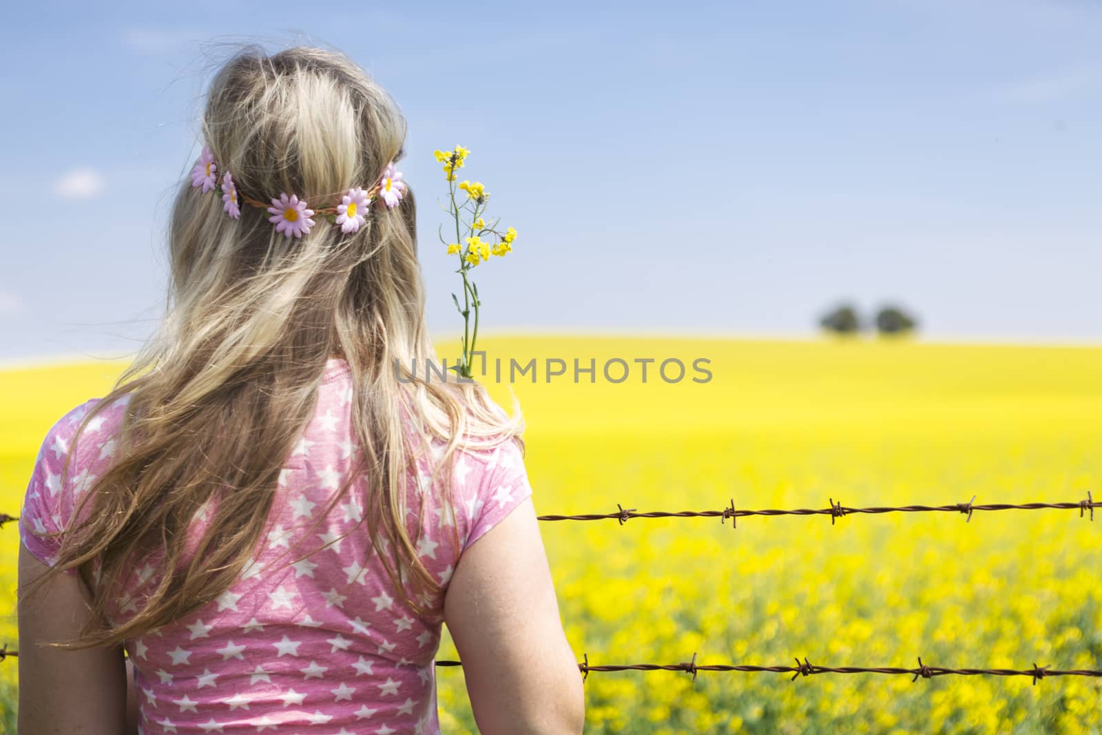 Woman at barbed wire fence looking at canola field by lovleah