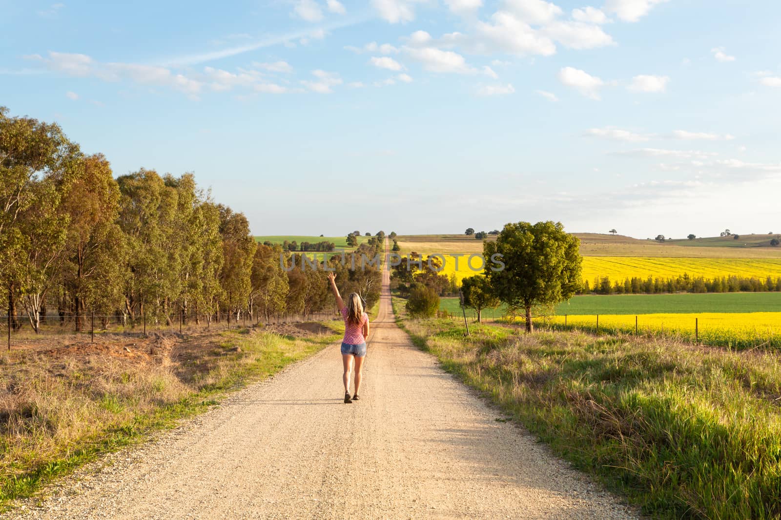 Woman walking along a dusty road among the rural fields by lovleah