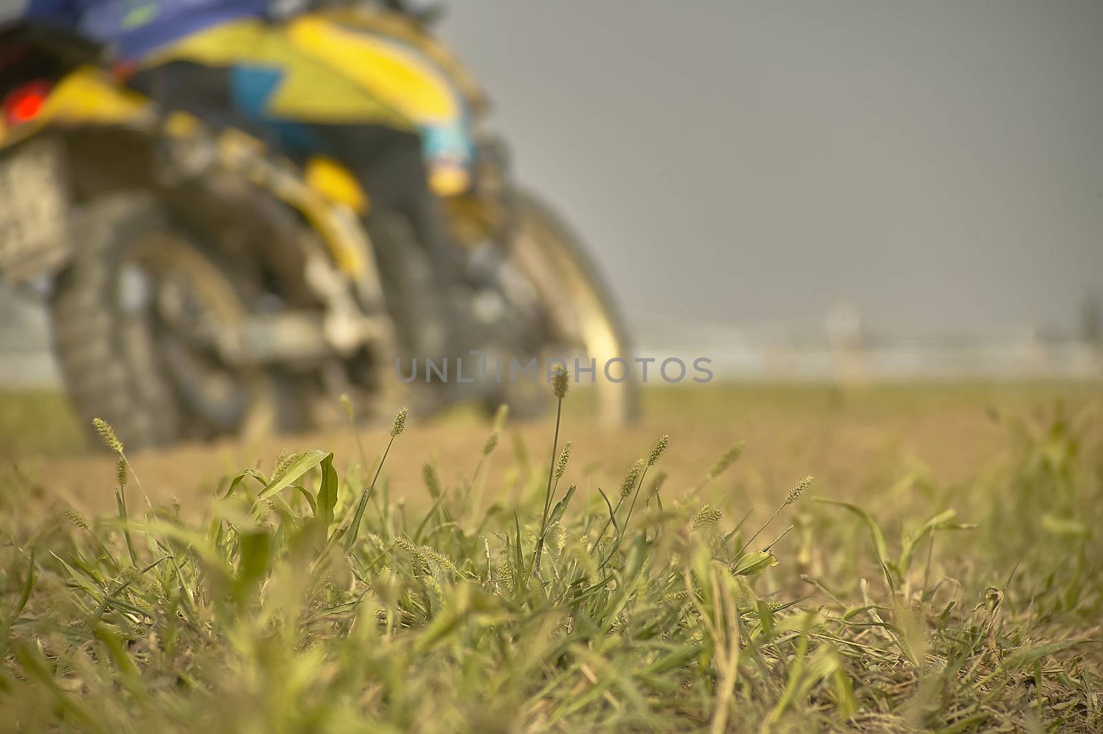 details of grass roots on board a enduro or motocross track, with a blurry crossword on a blurry crossroads crossing a curve