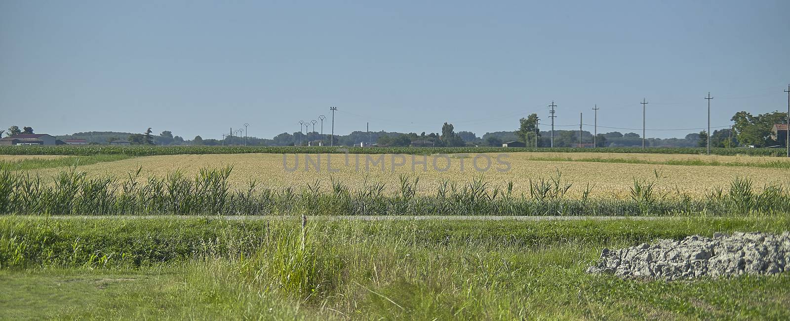 Overview of a typical summer countryside landscape of the Po Valley in the north east of Italy.