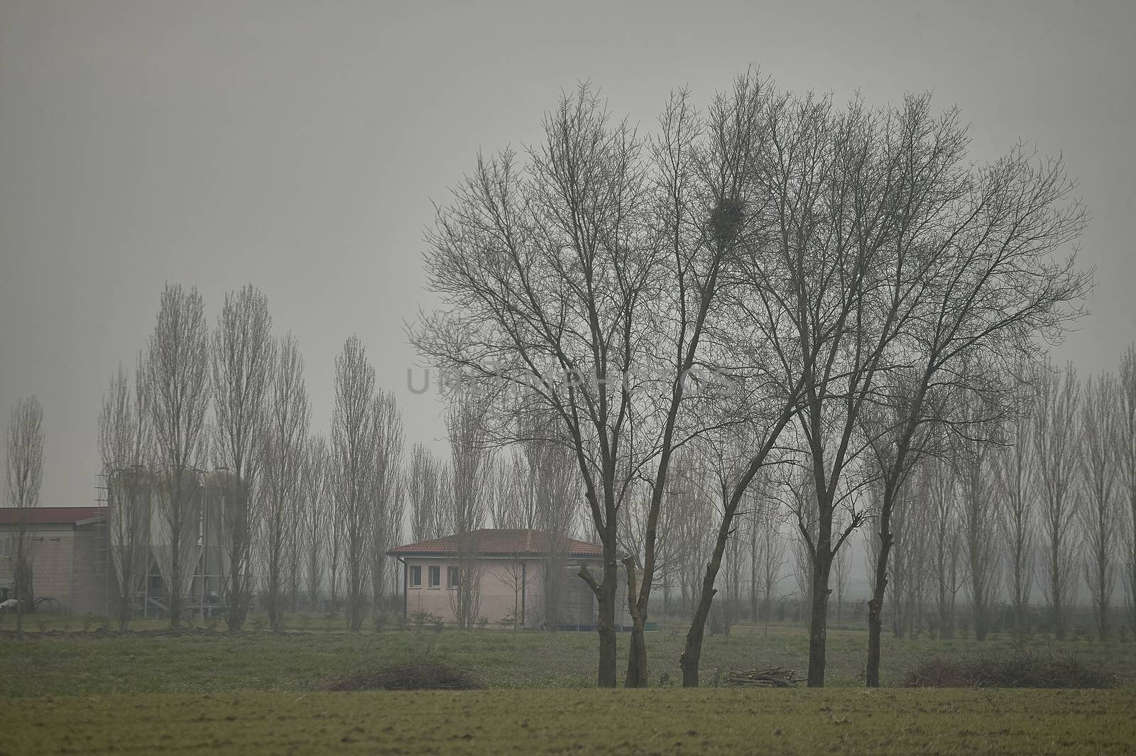 The winter of the Po Valley in Italy. by pippocarlot