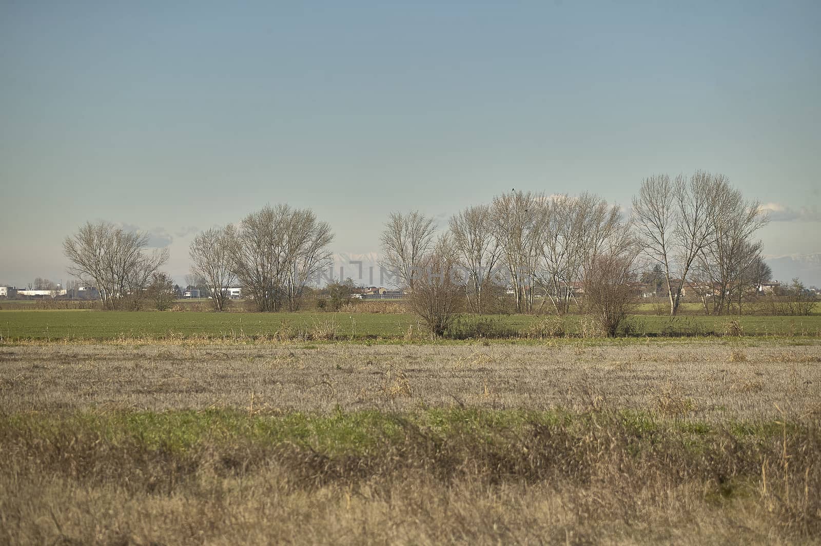 Countryside landscape during the inevrno with bare trees during a sunny day.