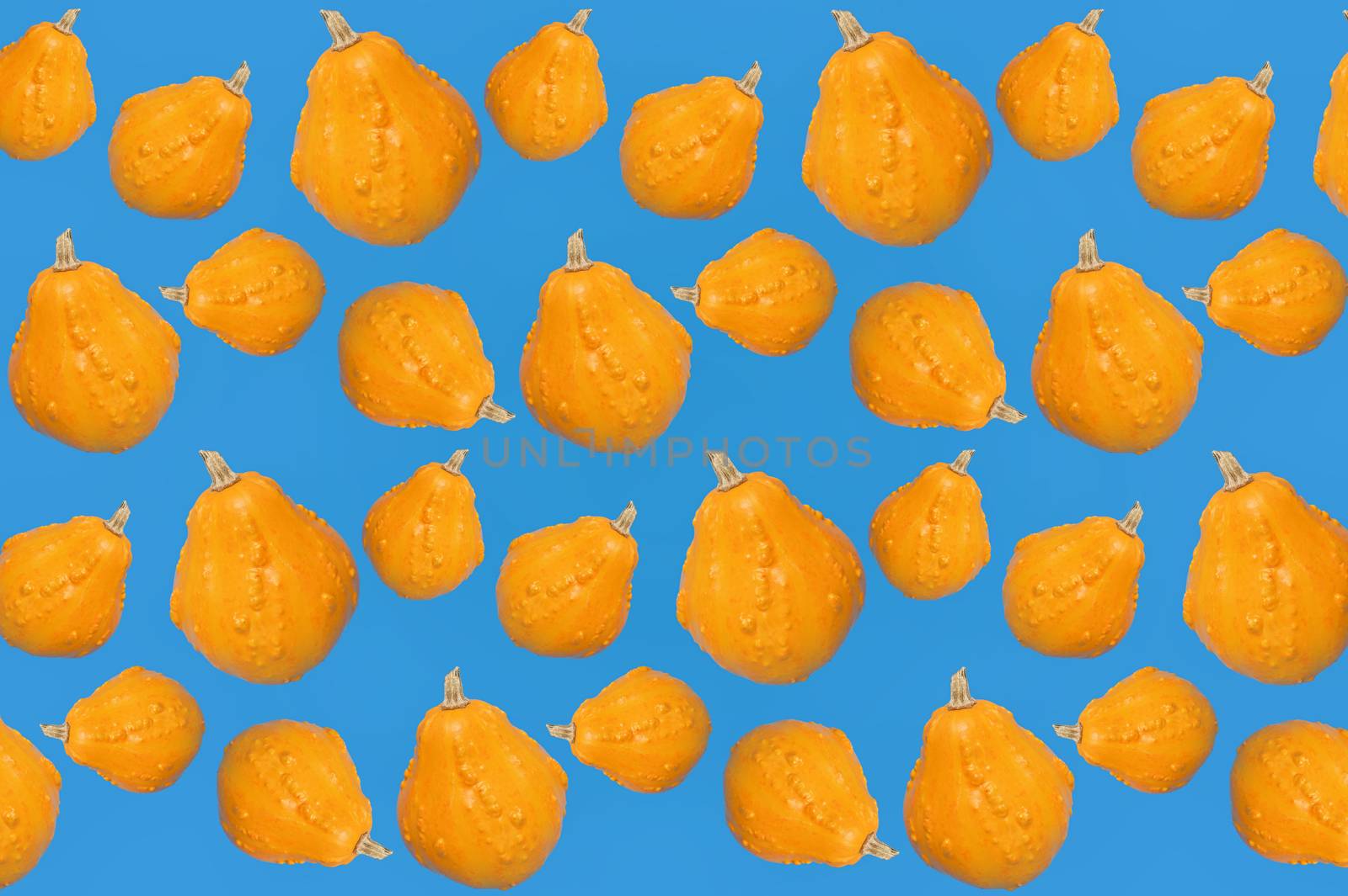 Seamless Pattern With Pumpkins On Blue Background