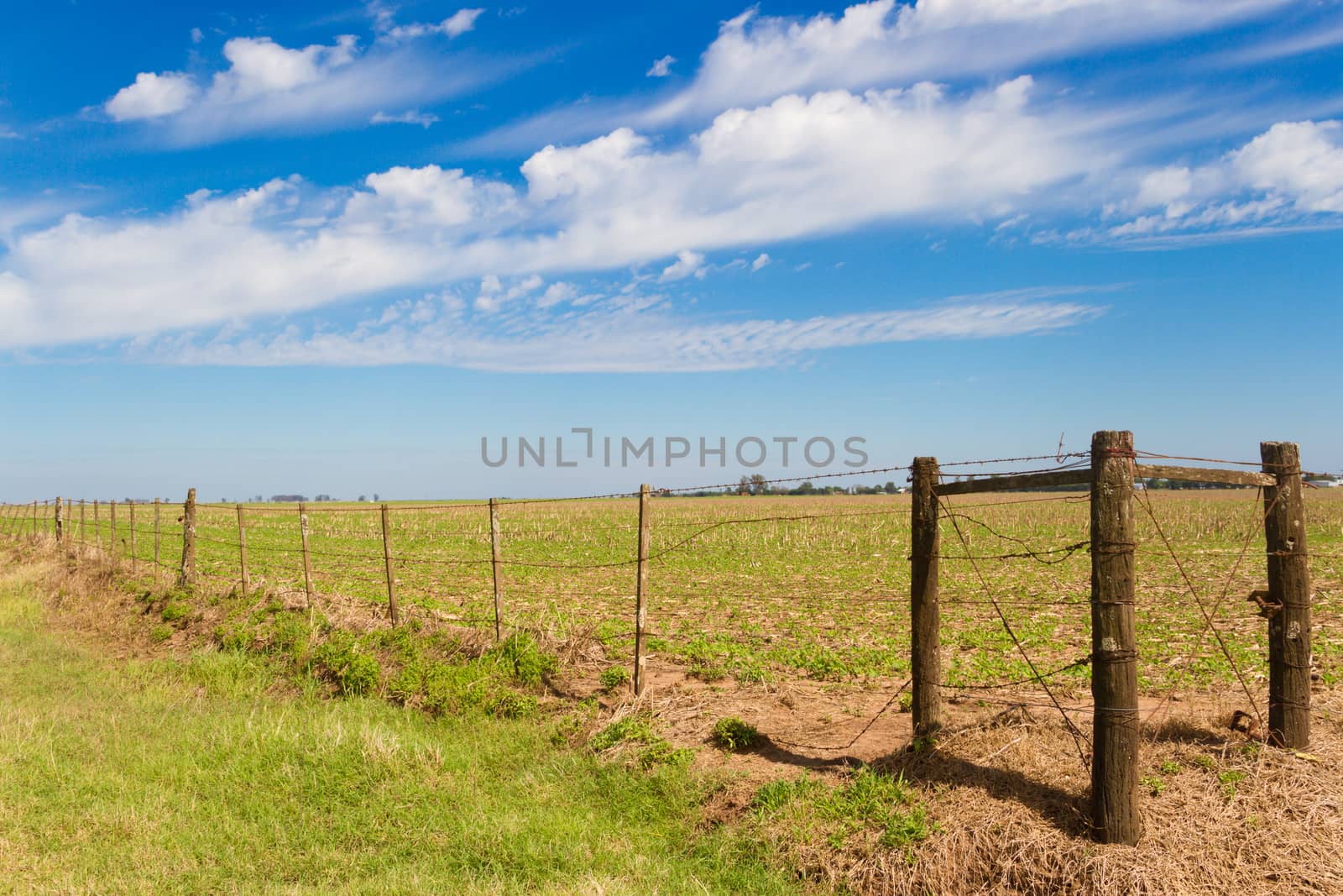 rural landscape with lambrado of the Argentine countryside by GabrielaBertolini