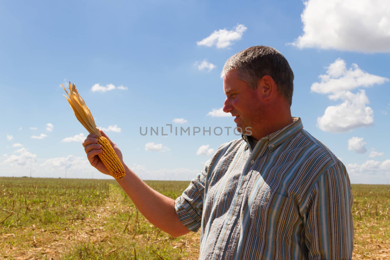 country man in the stubble of the corn crop by GabrielaBertolini