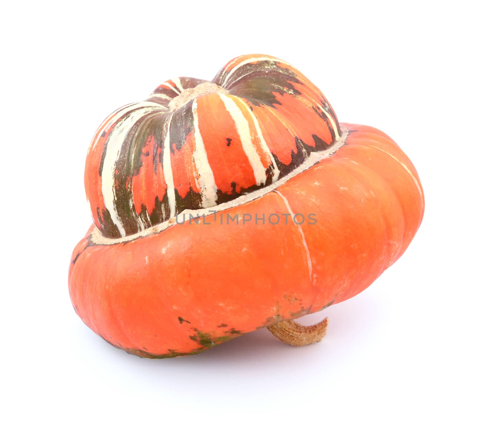 Profile of large Turks Turban gourd, with a smooth orange cap, resting on its stem on a white background