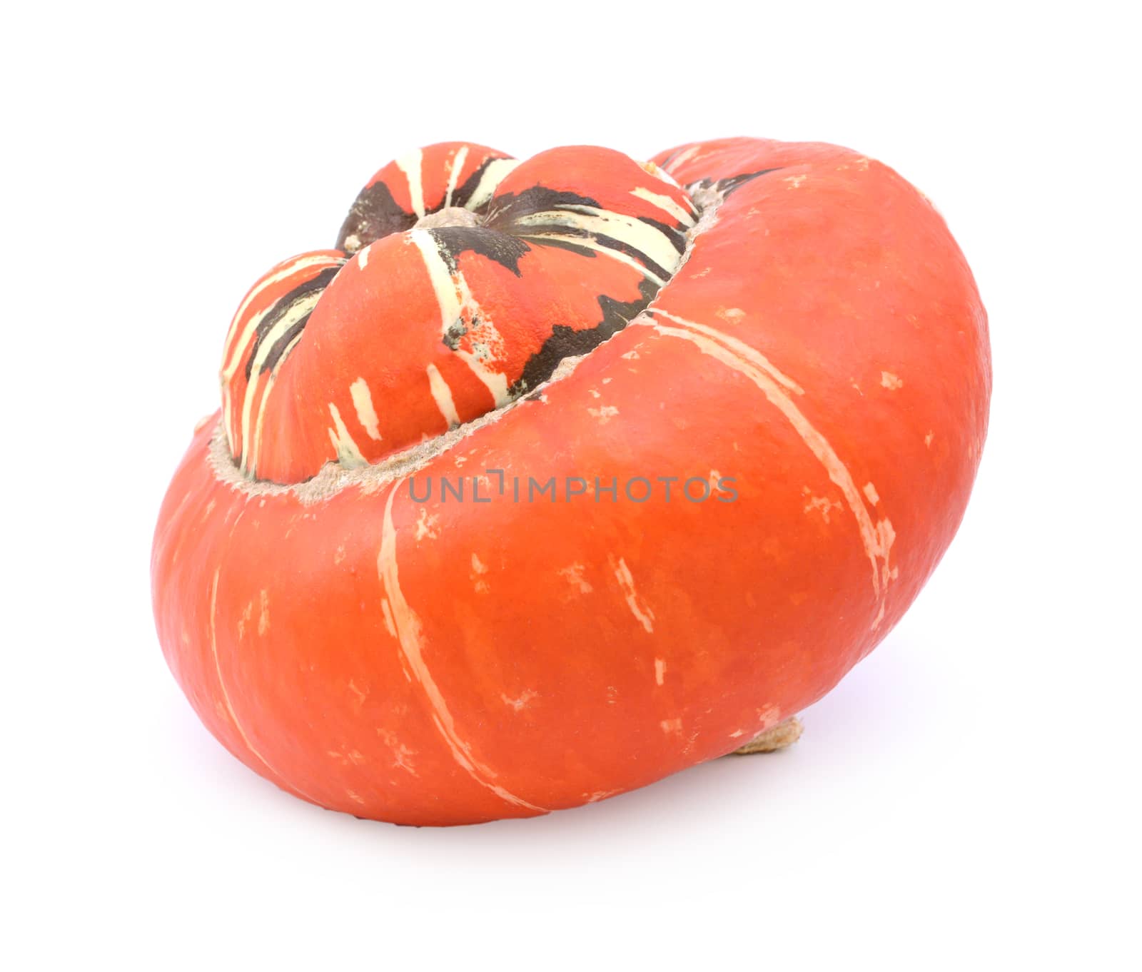 Deep orange turban squash in profile with colourful, striped cen by sarahdoow