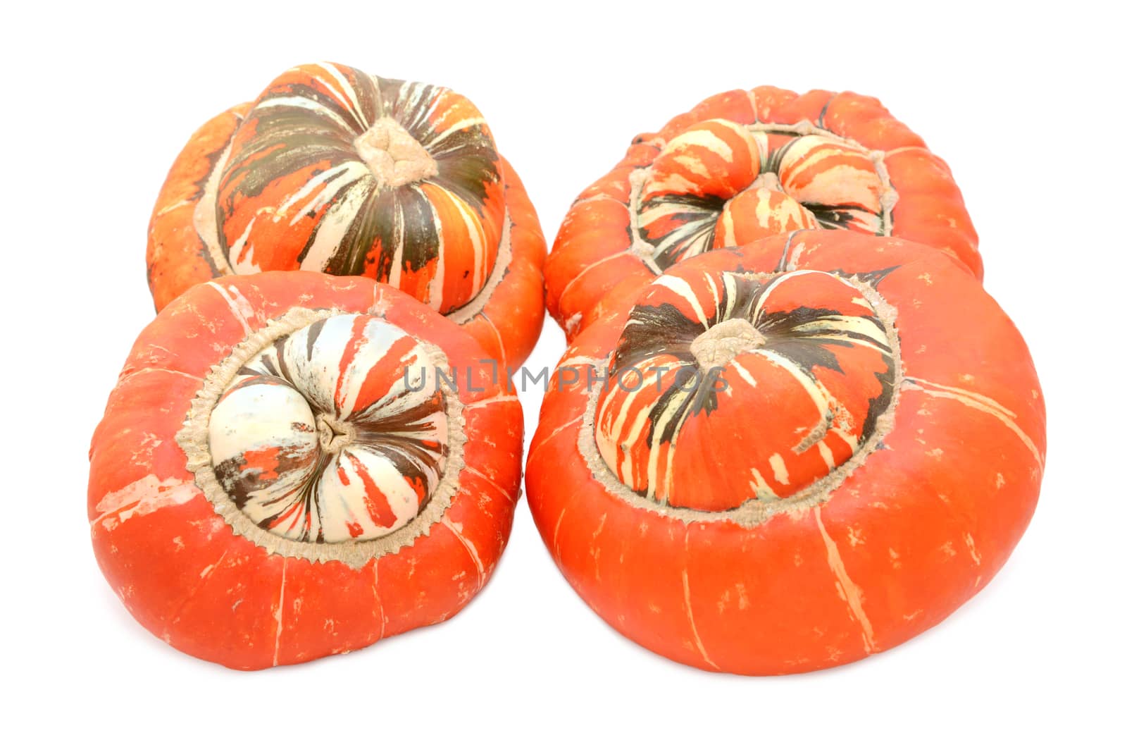 Four large Turks Turban ornamental gourds with orange caps and striped centres, on a white background