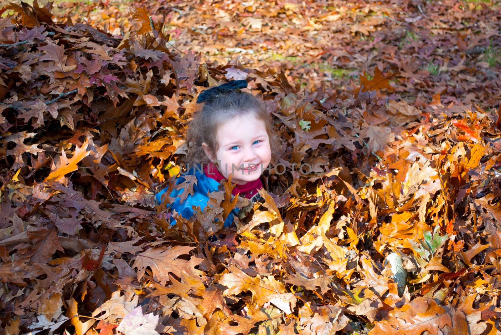 Cute Girl Youngster in fall pile of colorful leaves