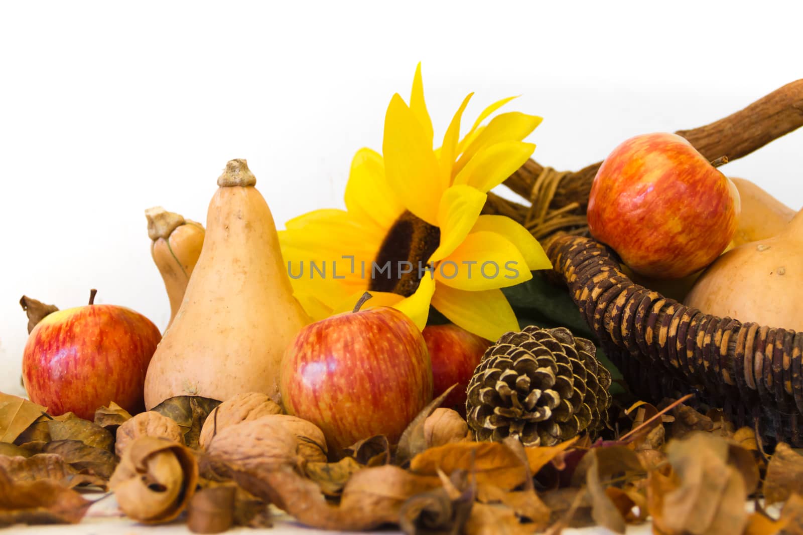 Autumn harvest composition with pumpkins and apples