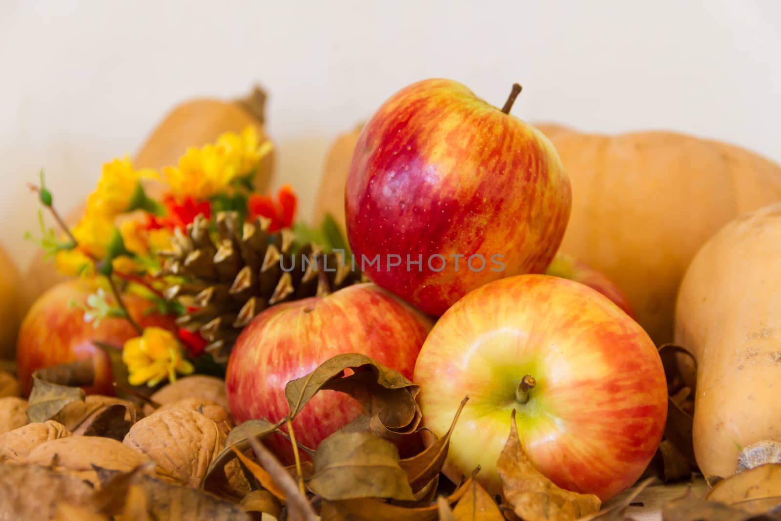 Autumn harvest composition with pumpkins and apples by GabrielaBertolini