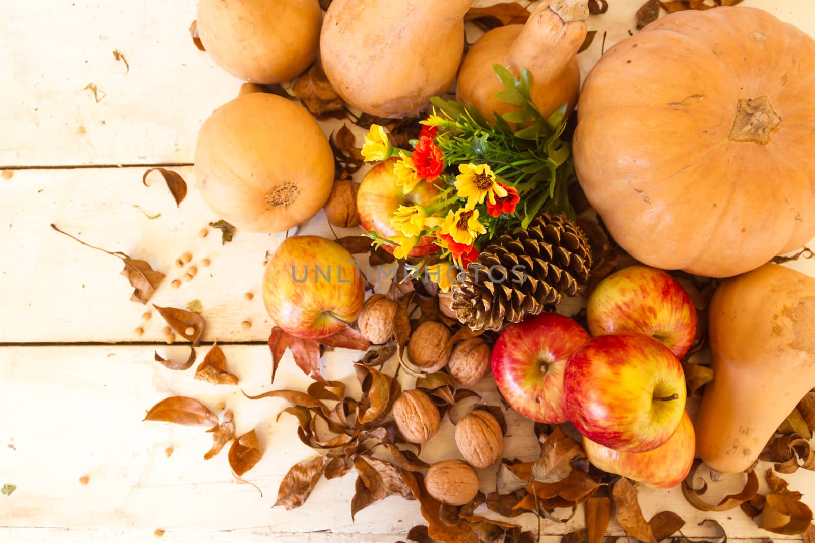 Autumn harvest composition with pumpkins and apples