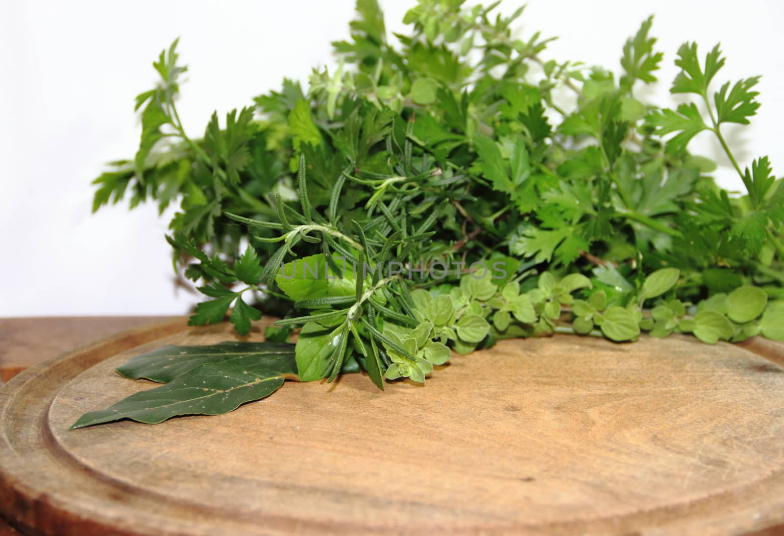 fresh aromatic herbs from the organic garden