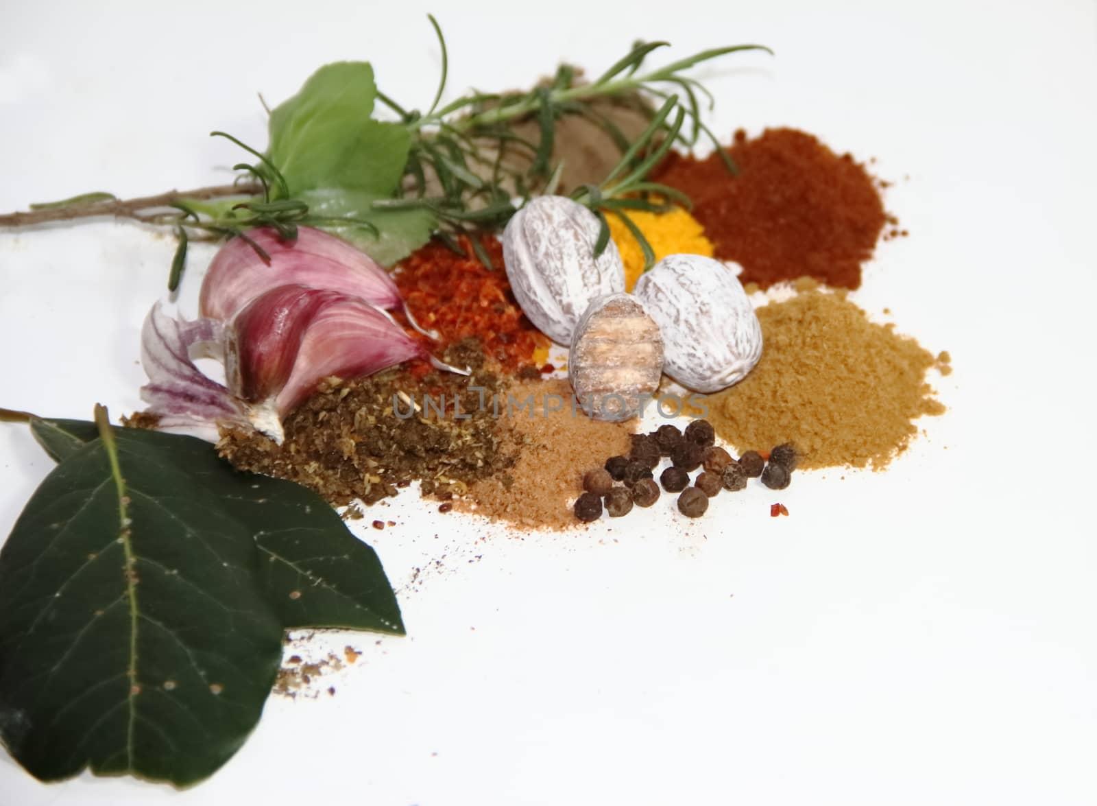 aromatic herbs from the organic garden and spices for cooking