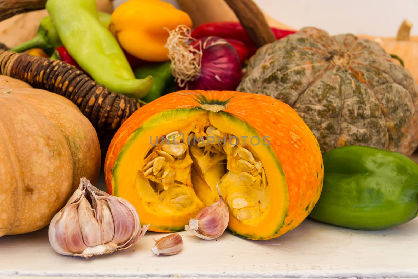 variety of vegetables and mushrooms for cooking