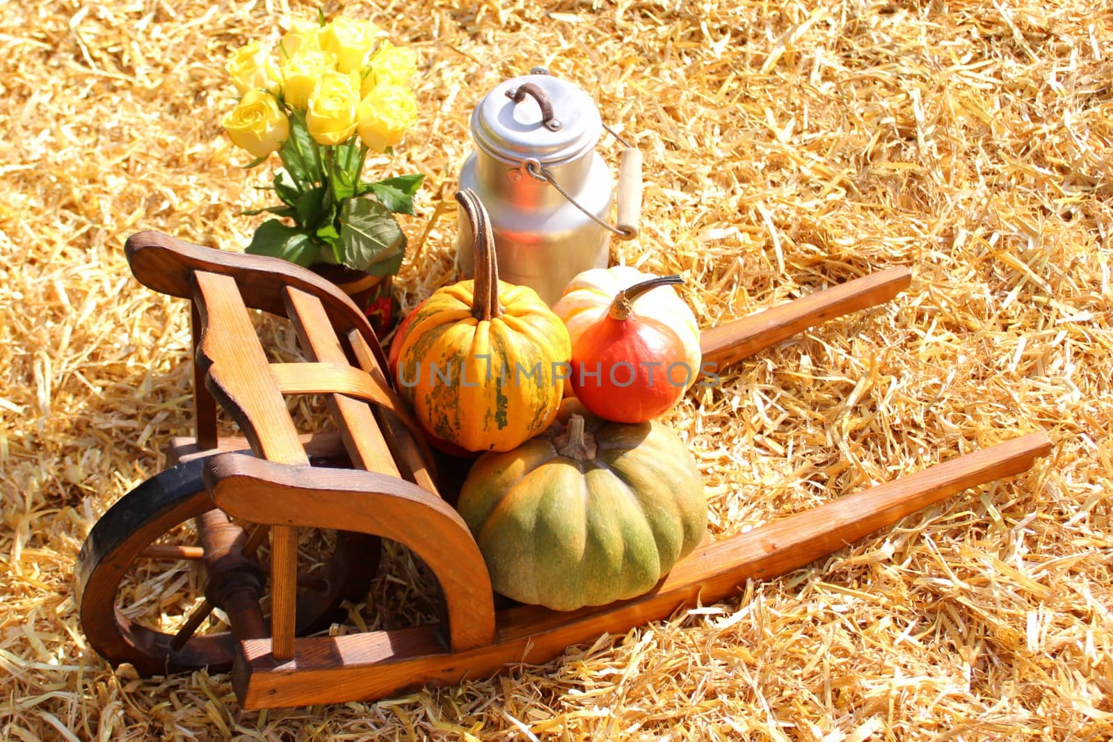 The picture shows a beautiful pumpkin decoration