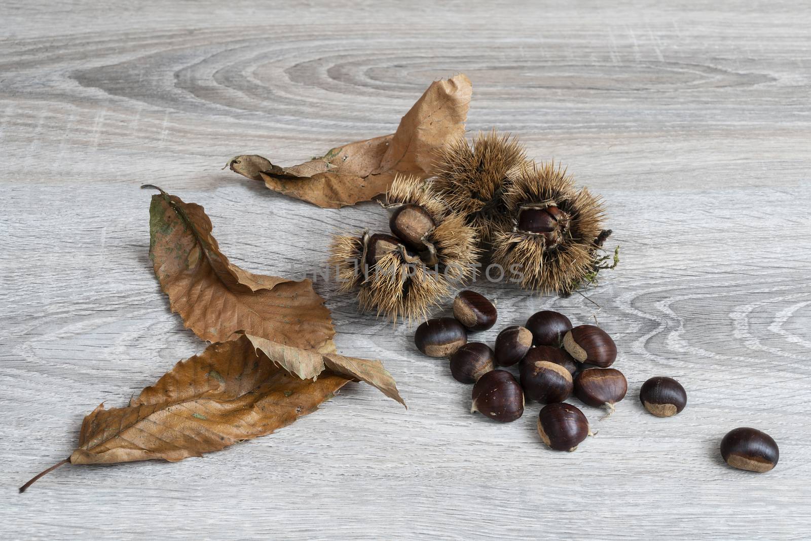 some chestnuts on the wooden table