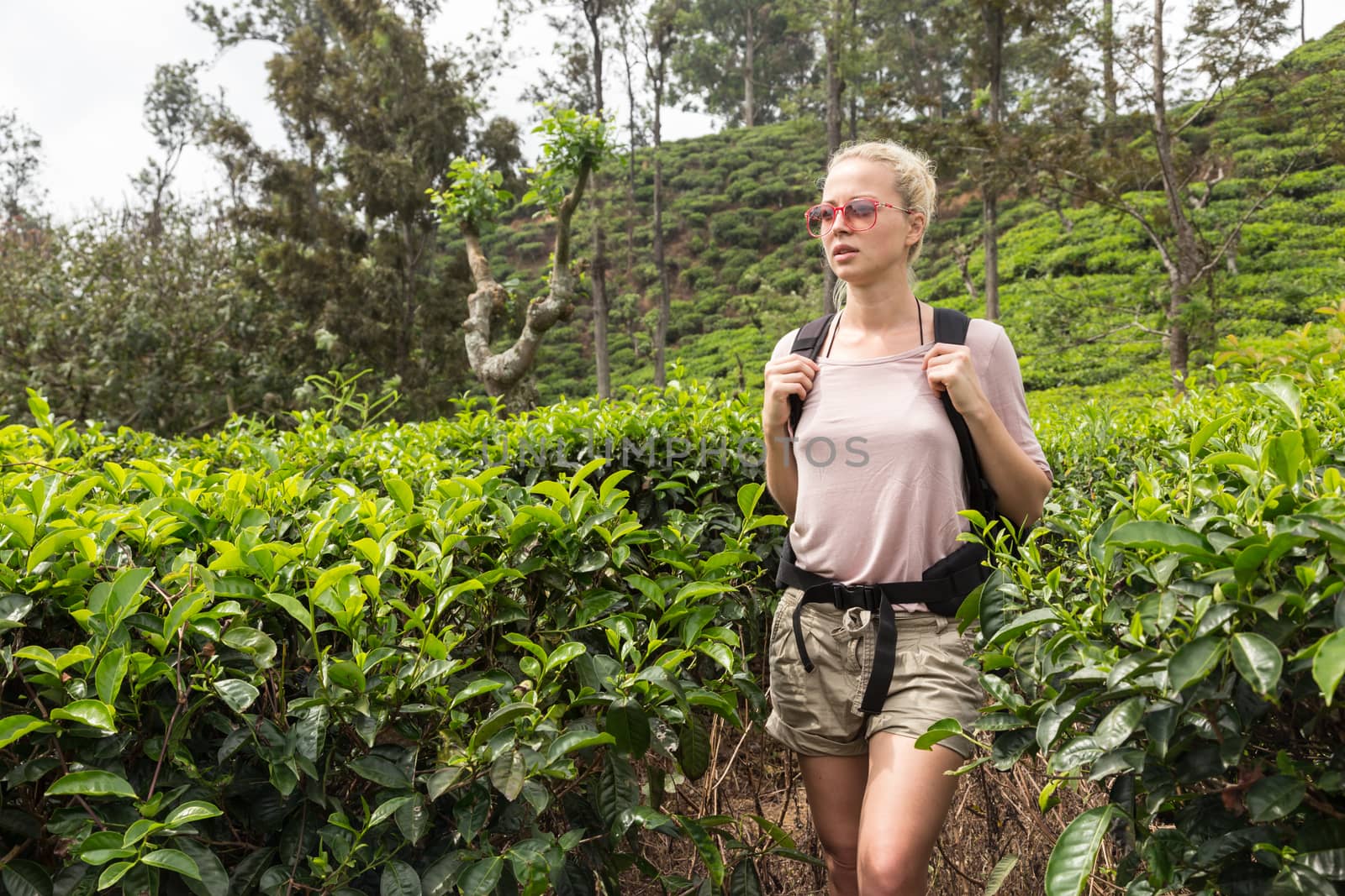 Active caucasian blonde woman enjoing fresh air and pristine nature while tracking among tea plantaitons near Ella, Sri Lanka. Bacpecking outdoors tourist adventure by kasto