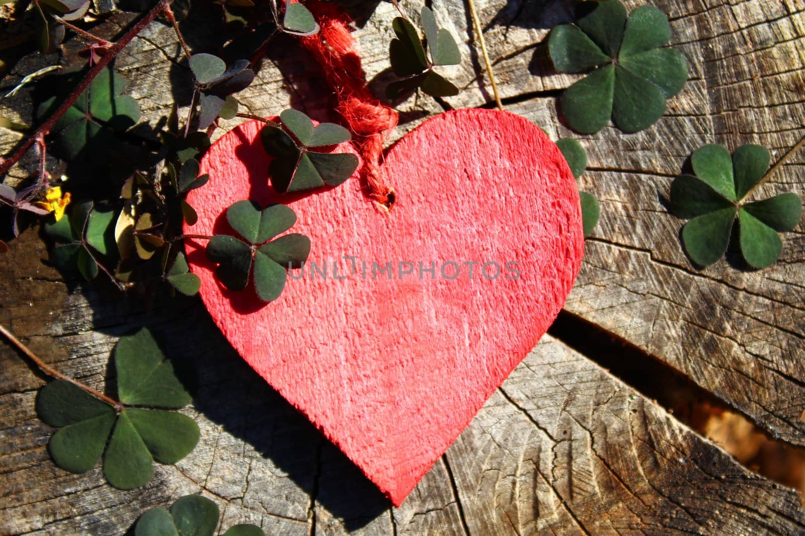 red heart on wooden ground by martina_unbehauen
