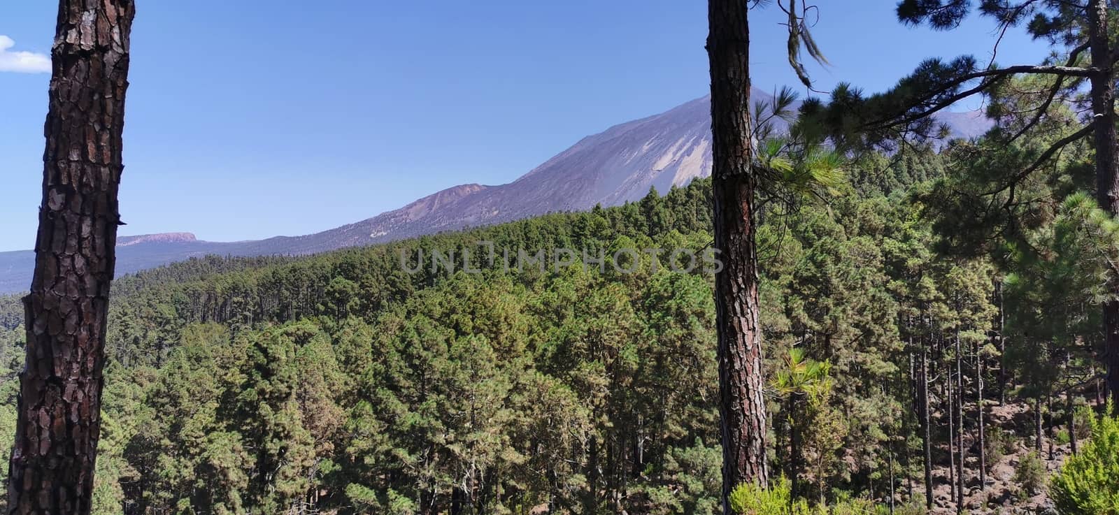 El Teide National Park, Tenerife, Canary Islands Spain