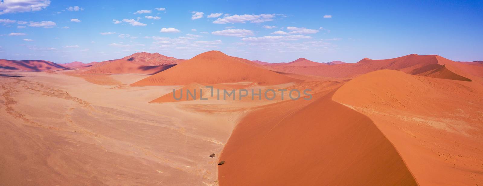 aerial landscape hidden Dead Vlei in Namib desert, Namibia, Africa wilderness landscape