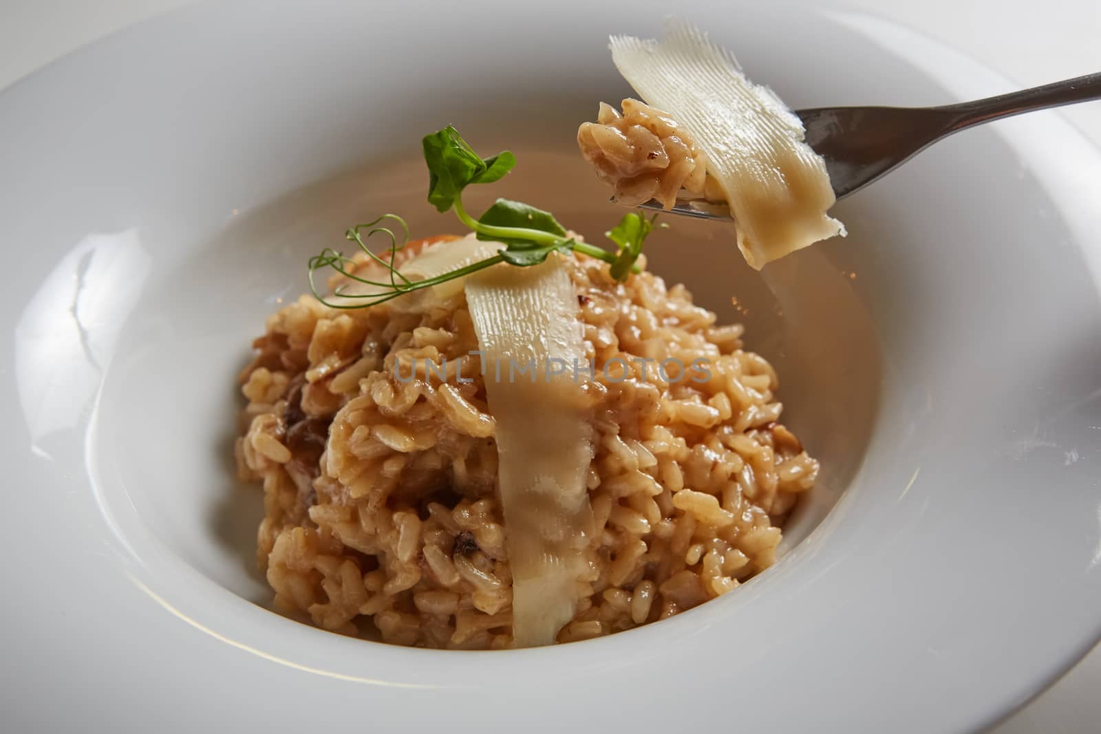 Italian dish risotto with wild white mushrooms and Parmesan cheese in a white plate