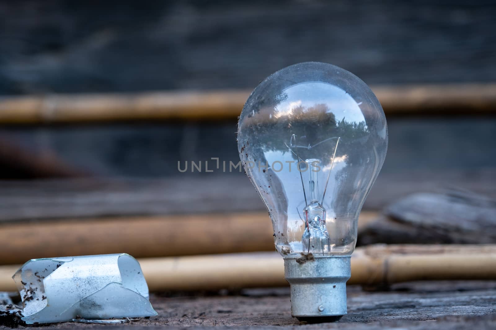 The Light bulb standing on wood - Concept of saving energy and have a big idea.