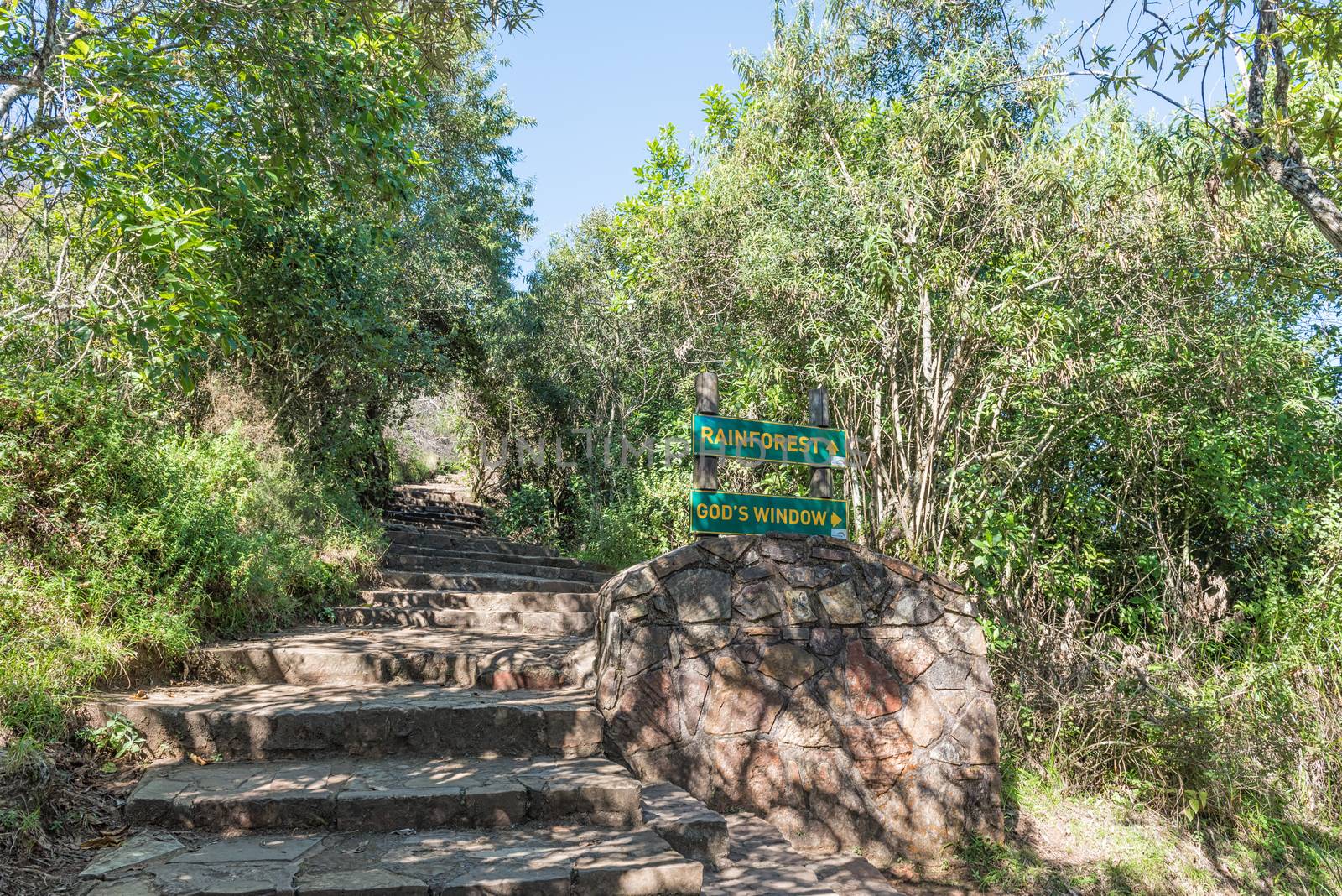 Stairs leading to the rainforest at Gods Window on road R534 near Graskop