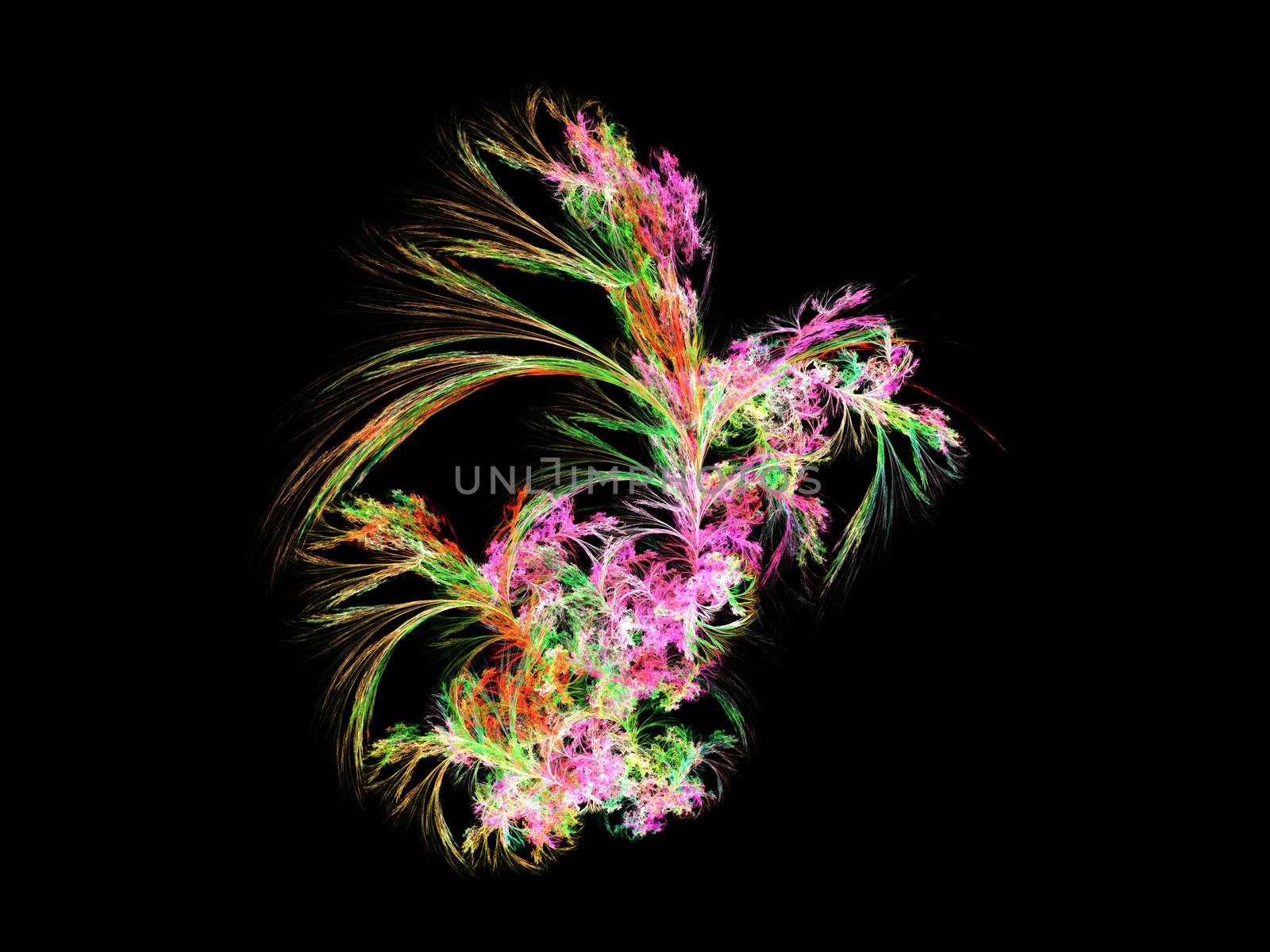 Multicolor beautiful fractal flower. Fractal artwork for creative design