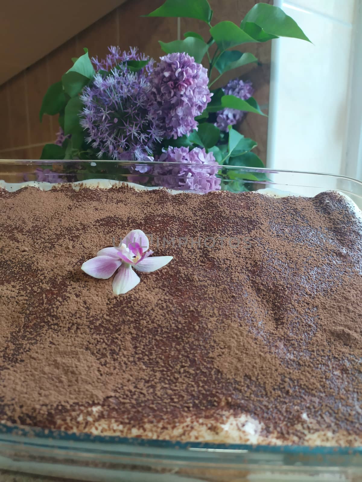Tiramisu cake by sagasan