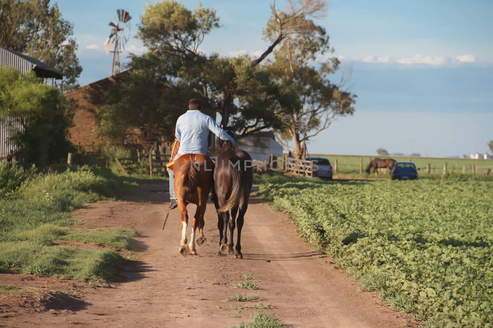 man on horseback in the argentinian countryside