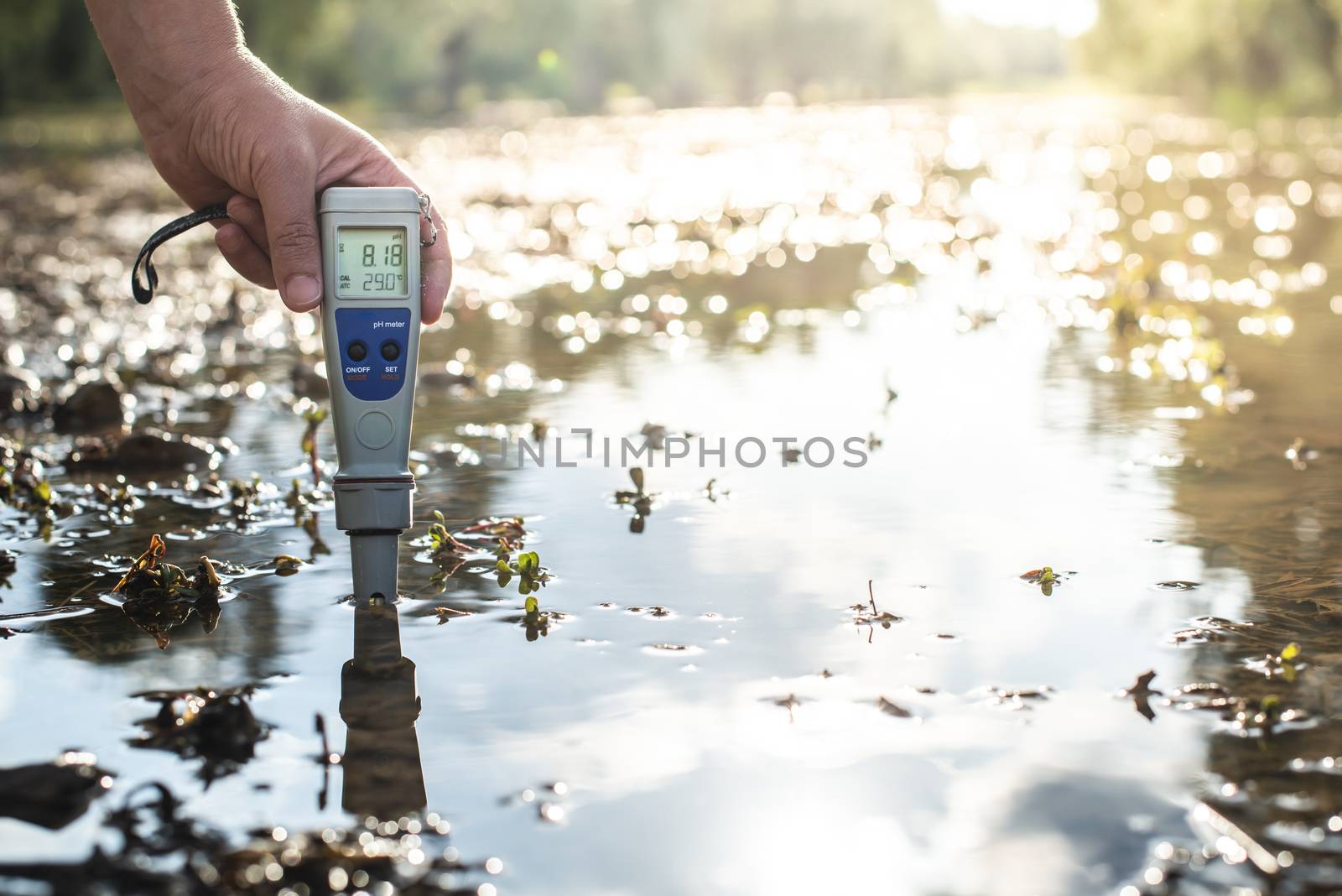 Measure water content with digital device.  PH meter. by deyan_georgiev