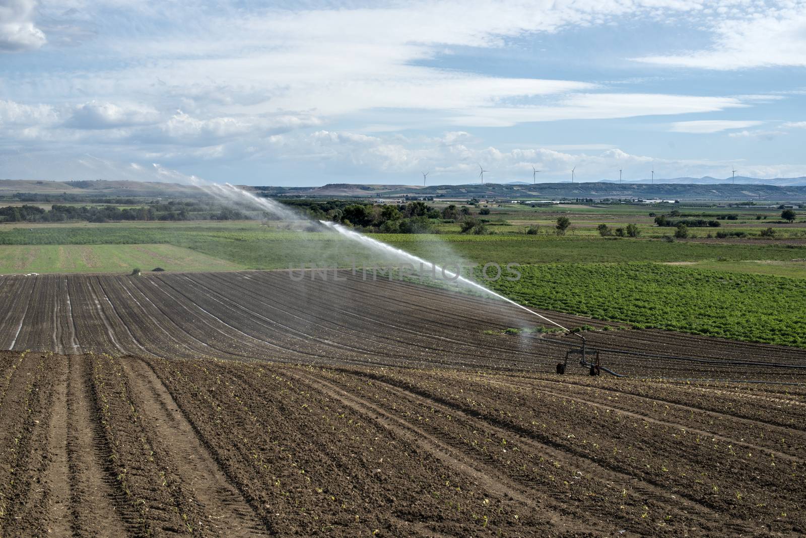 Watering green plants and plowed soil. Newly planted agriculture by deyan_georgiev