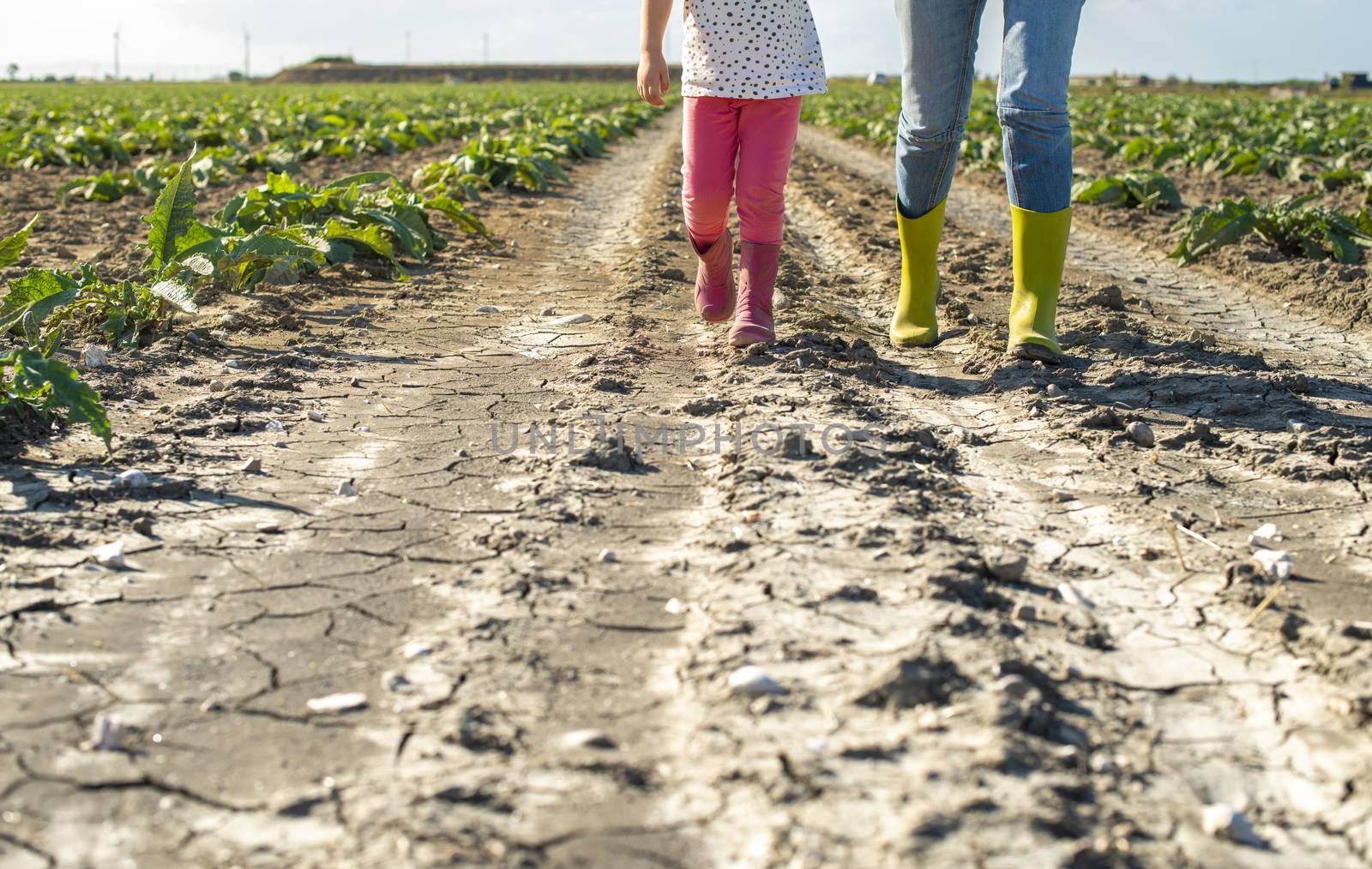 Woman farmer and little girl walking on the agriculture land.  by deyan_georgiev