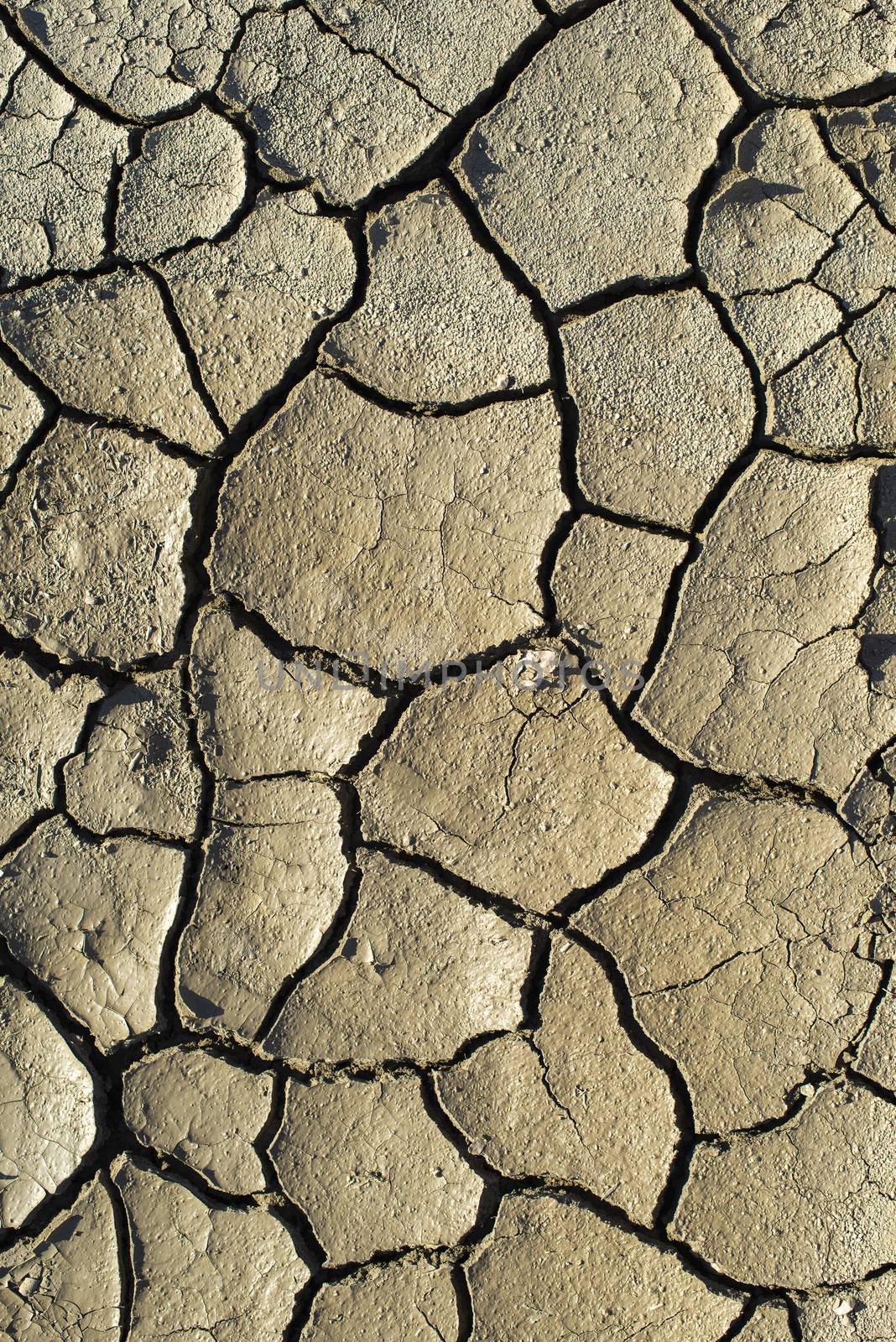Cracked soil texture. Hard shadows and sun. Dried ground. Pattern of many cracks for background. 