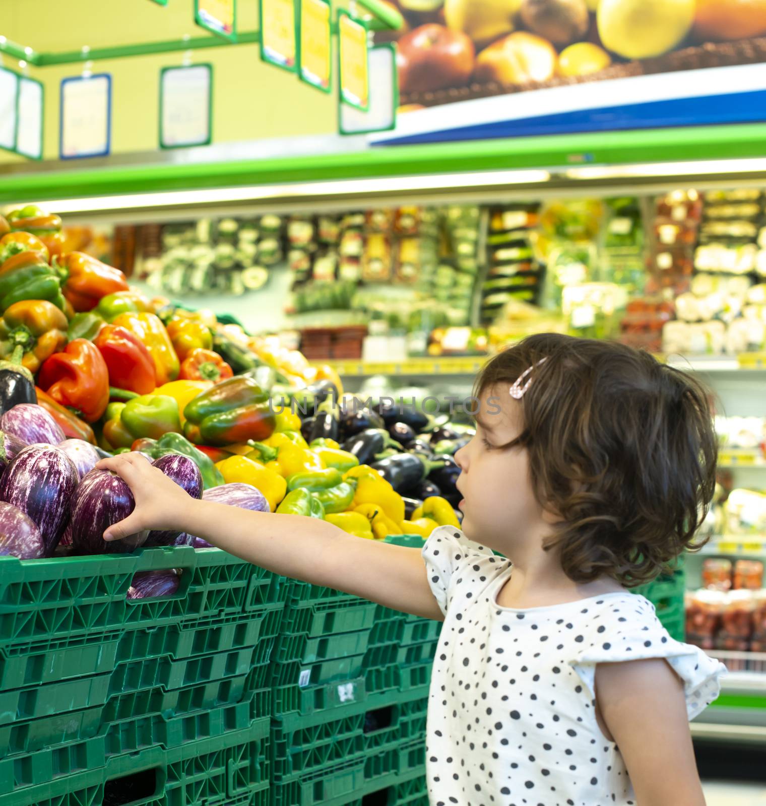 Child shopping eggplants in supermarket. Concept for buying fruits and vegetables in hypermarket. Little girl hold shopping basket.