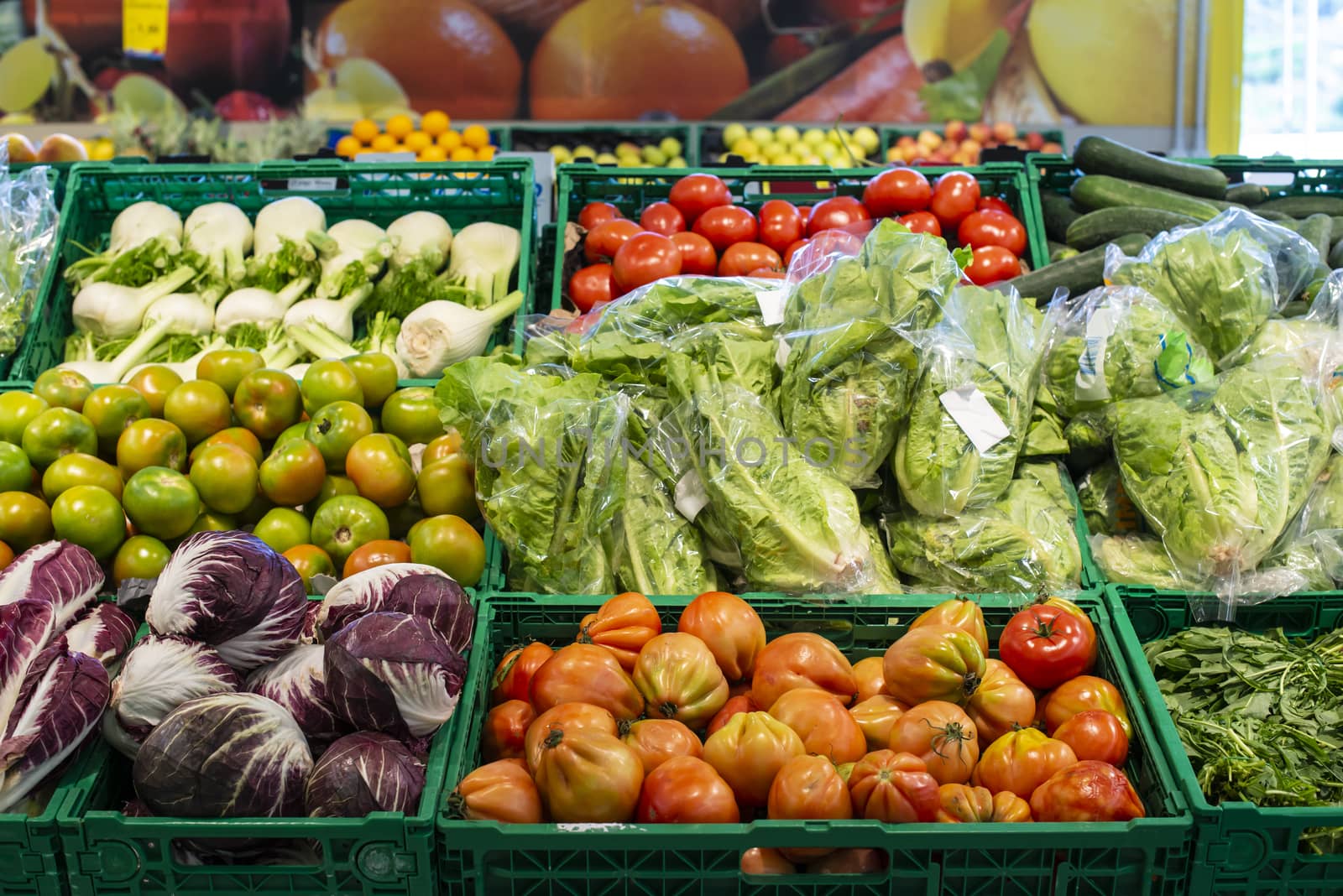Arranged tomatoes, lettuce, fennel and radicchio in supermarket. by deyan_georgiev