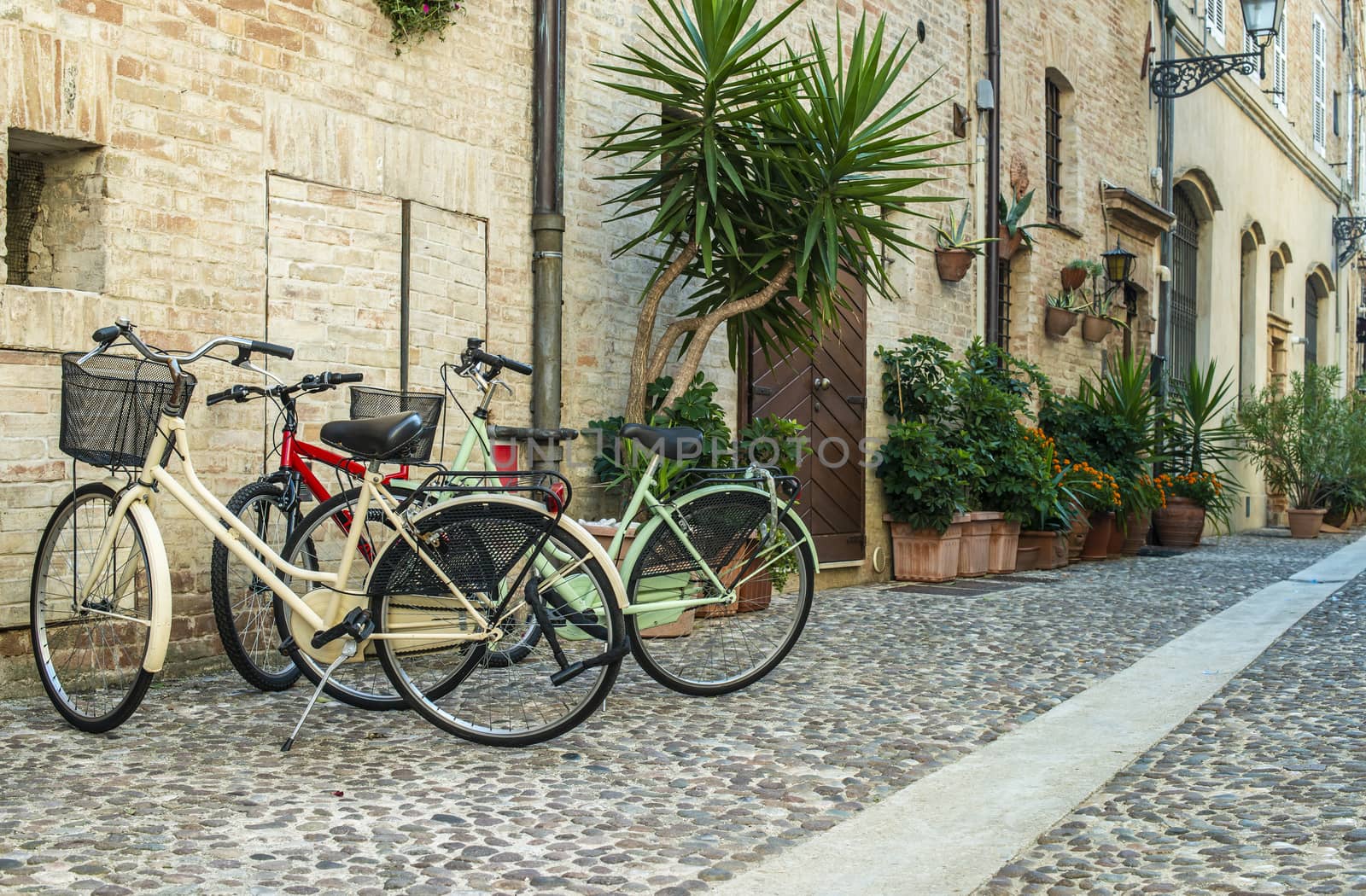 Bicycles on typical italian street. Various colours bicycles on  by deyan_georgiev