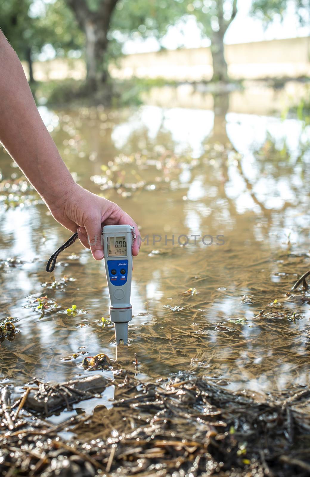 Measure water content with digital device. Sunrise over the water. PH meter.