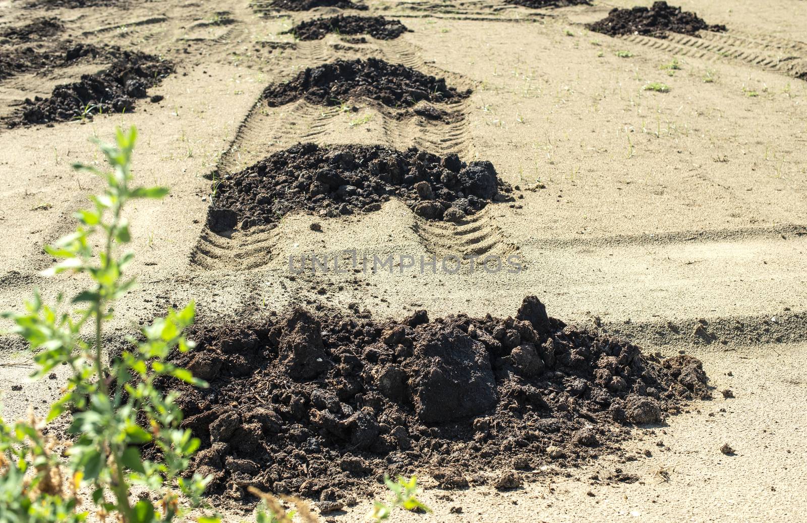 Natural fertilizer in agricultural land. Soil fertilization conc by deyan_georgiev