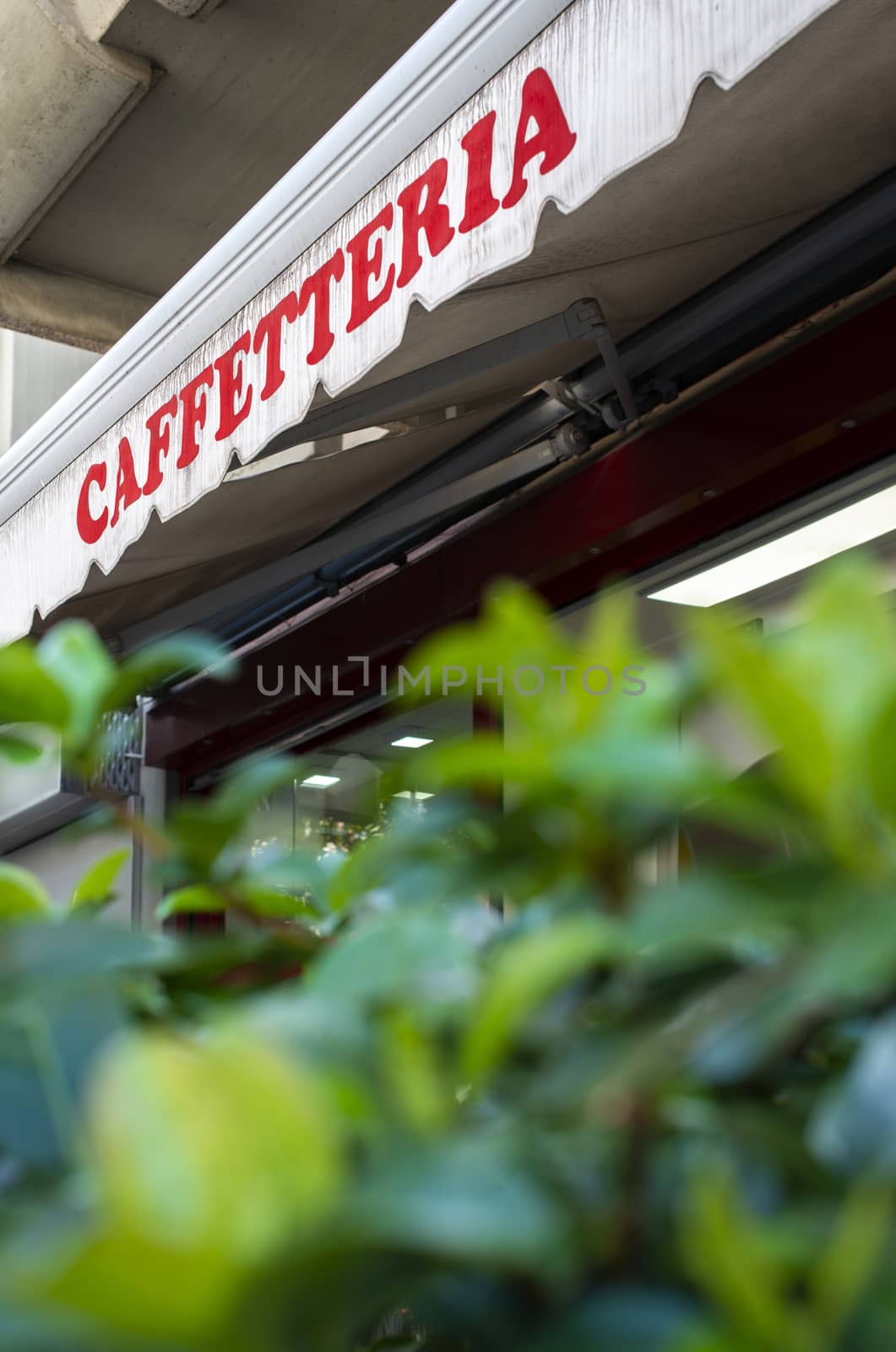Text caffetteria on sunblind. Italian coffee shop. Facade on coffee shop. Green foliage in front of cafe and sweets shop.