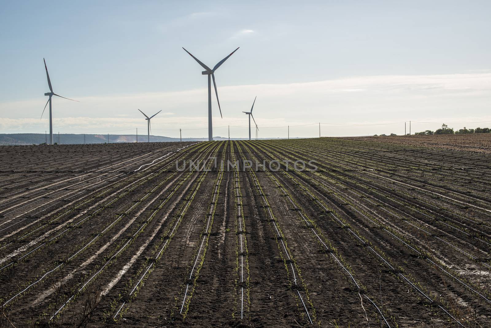 Wind generator in agriculture land.  by deyan_georgiev