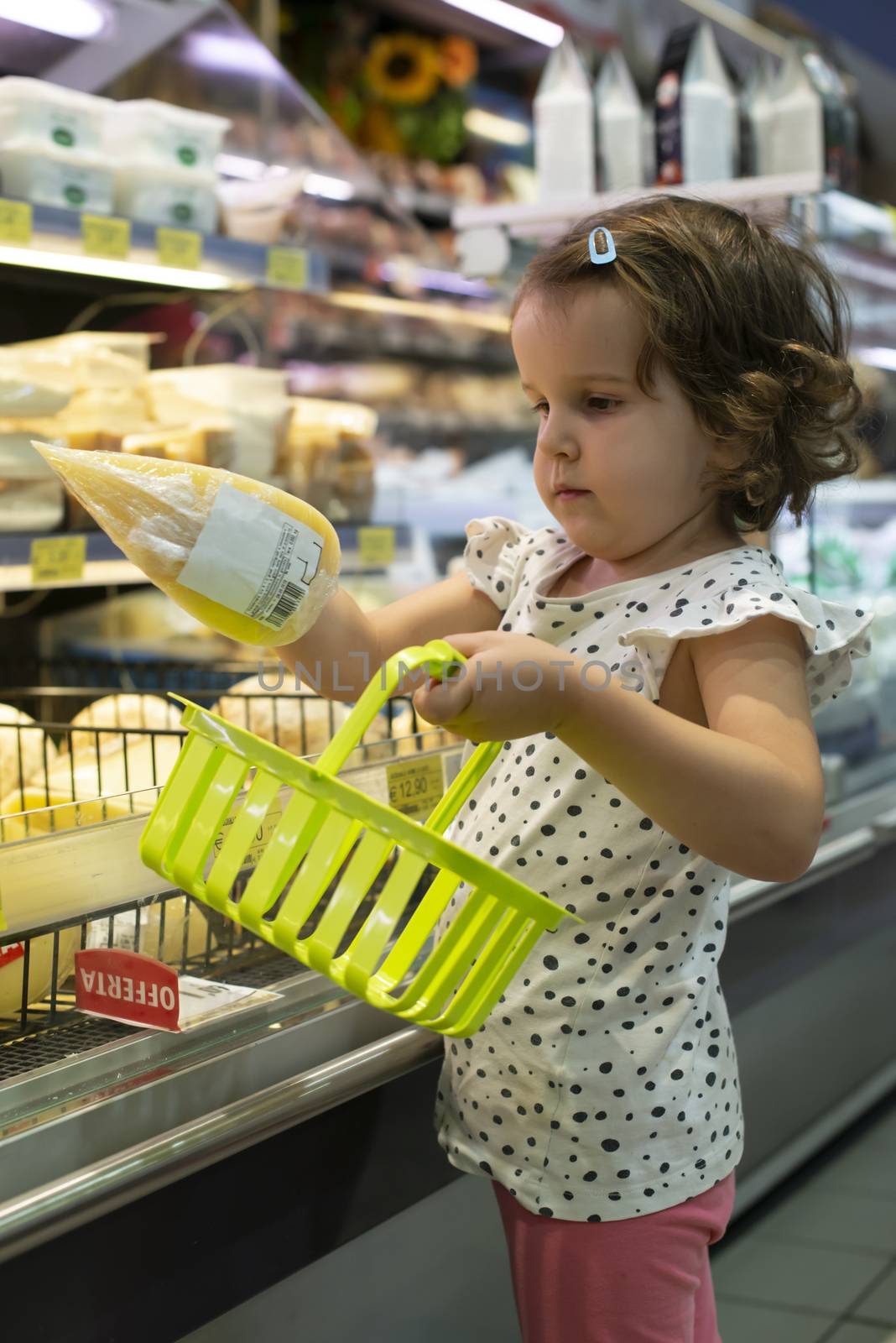 Little girl buying cheese in supermarket. Child hold small basket in supermarket and select cheese from store showcase. Concept for children selecting products in shop.