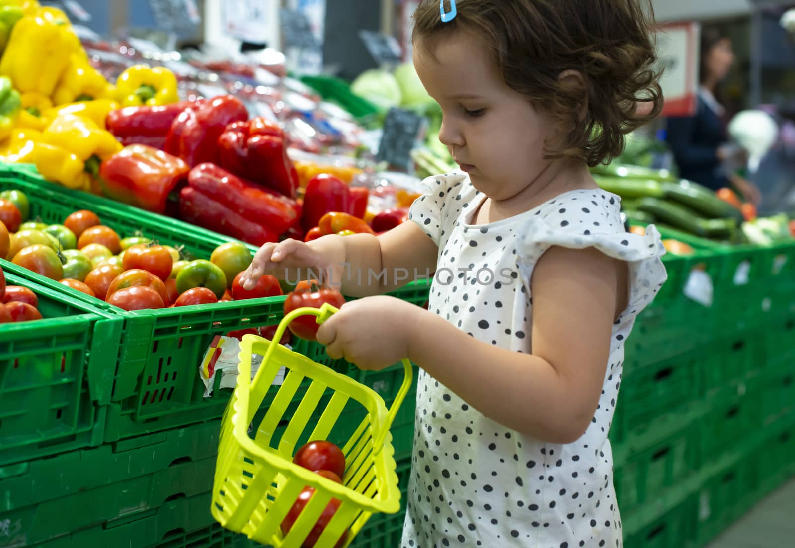 Little girl buying tomatoes in supermarket. Child hold small basket in supermarket and select vegetables. Concept for healthy eating for children. 