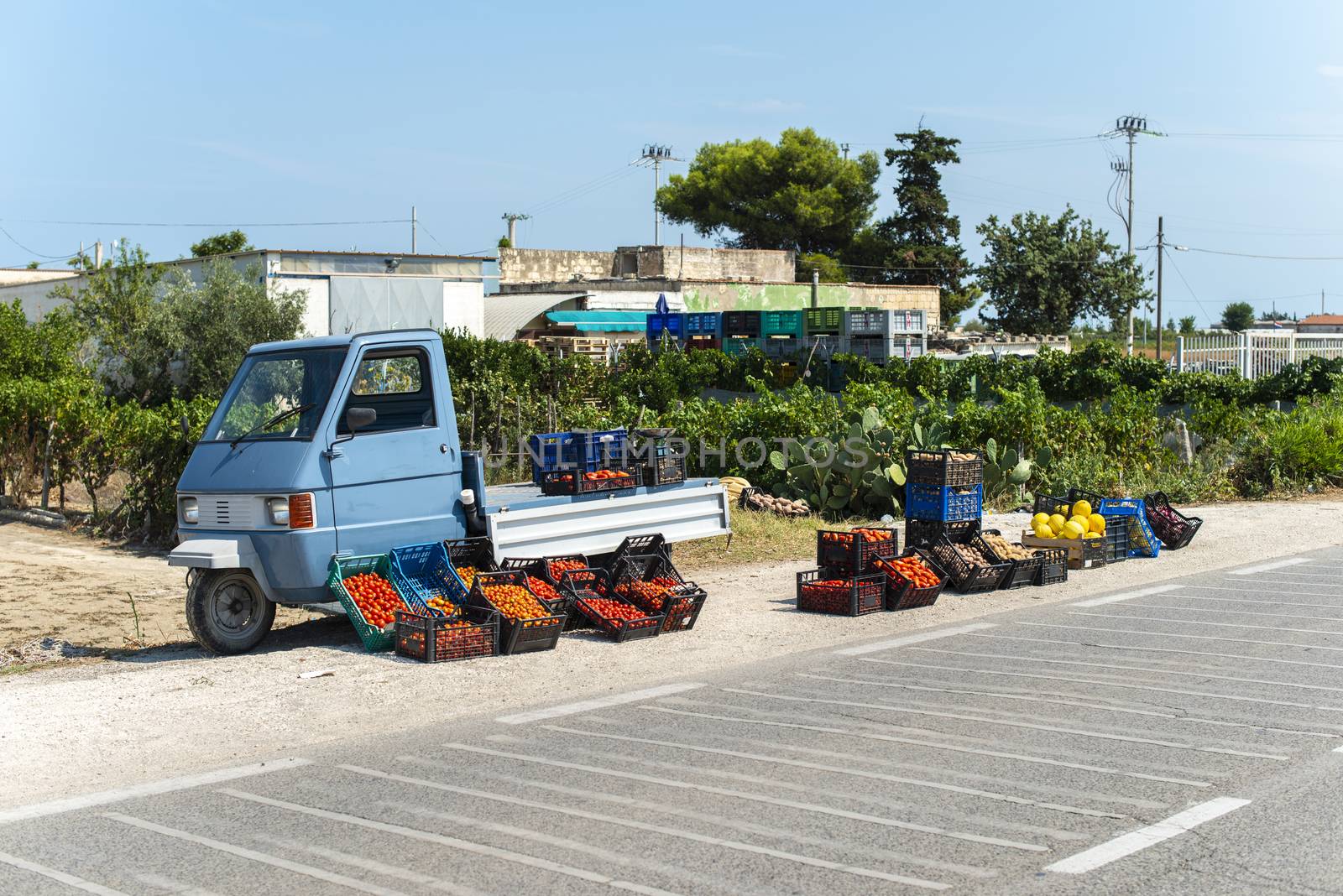 Small italian apo truck with tomatoes. Farmer sale tomatoes on t by deyan_georgiev